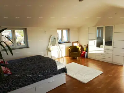 Einzigartiges Steinhaus mit Grundstück, Svetvinčenat - 7