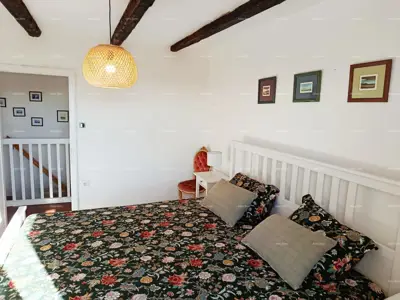 Einzigartiges Steinhaus mit Grundstück, Svetvinčenat - 5