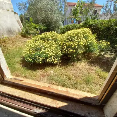 House in Valtura, Ližnjan, authentic Istrian architecture - 8