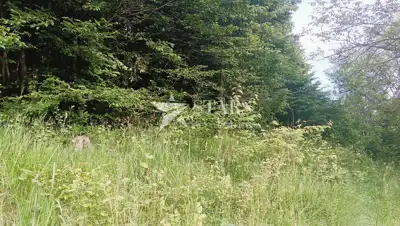 Landwirtschaftsfläche 5.016 m², Barilovići - Blick auf die Natur - 15