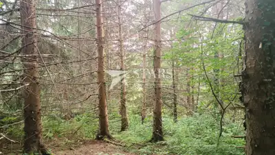 Landwirtschaftsfläche 5.016 m², Barilovići - Blick auf die Natur - 7