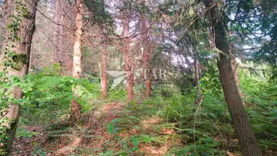 Landwirtschaftsfläche 5.016 m², Barilovići - Blick auf die Natur - 4