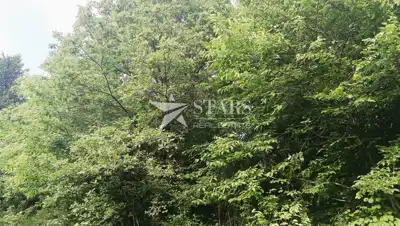 Landwirtschaftsfläche 5.016 m², Barilovići - Blick auf die Natur - 13