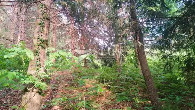 Landwirtschaftsfläche 5.016 m², Barilovići - Blick auf die Natur - 3