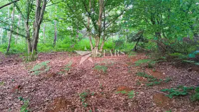 Landwirtschaftsfläche 5.016 m², Barilovići - Blick auf die Natur - 11