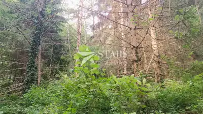 Landwirtschaftsfläche 5.016 m², Barilovići - Blick auf die Natur - 5