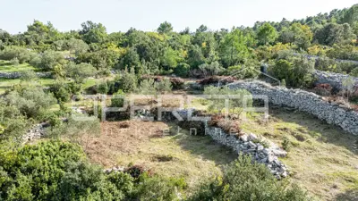 Poljoprivredno zemljište 3.050 m², Žrnovo - masline i mirna lokacija - 3