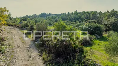 Poljoprivredno zemljište 3.050 m², Žrnovo - masline i mirna lokacija - 8