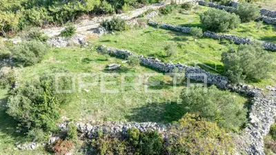 Poljoprivredno zemljište 3.050 m², Žrnovo - masline i mirna lokacija - 4