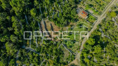 Poljoprivredno zemljište 3.050 m², Žrnovo - masline i mirna lokacija