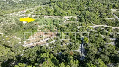 Poljoprivredno zemljište 3.050 m², Žrnovo - masline i mirna lokacija - 12