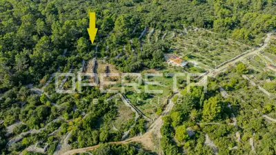 Poljoprivredno zemljište 3.050 m², Žrnovo - masline i mirna lokacija - 15