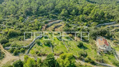 Poljoprivredno zemljište 3.050 m², Žrnovo - masline i mirna lokacija - 9