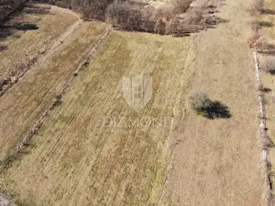 Žminj, okolica, građevinsko zemljište - 3
