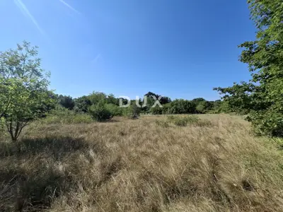 Landwirtschaftsfläche, Šajini - an der asphaltierten Straße - 3