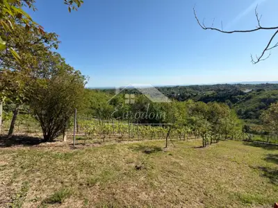 Imanje 17.711 m², Vlaškovec - panoramski pogled na Plešivicu - 3