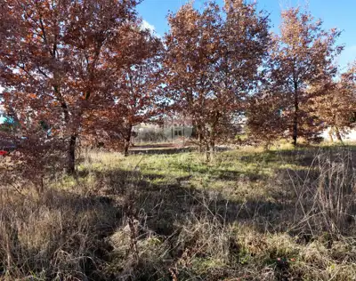 Building plot, Rovinj surroundings, asphalt access and infrastructure - 2