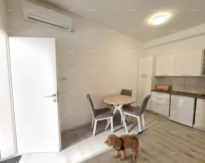 Zu verkaufen: Immobilie mit zwei Apartments – Pula - 3