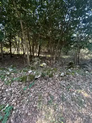 Baugrundstück 512 m², Šumber, ruhige Lage in Istri - 13