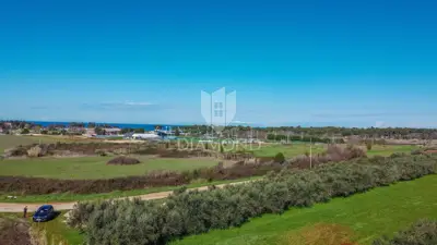 Land 3,700 m², Umag - near Stella Maris - 4
