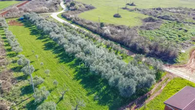 Land 3,700 m², Umag - near Stella Maris - 6