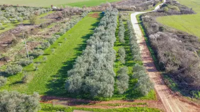 Land 3,700 m², Umag - near Stella Maris - 3