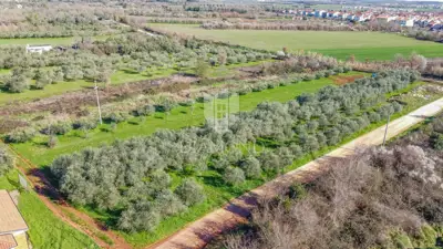 Land 3,700 m², Umag - near Stella Maris - 11