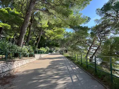 Građevinsko zemljište 964 m², Baška Voda - pogled na more - 10