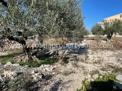 Building land in Rogoznica, a few minutes from the sea - 3