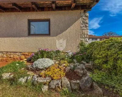 Novigrad, surroundings, house with business potential! - 19