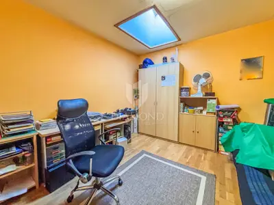 Novigrad, surroundings, house with business potential! - 16