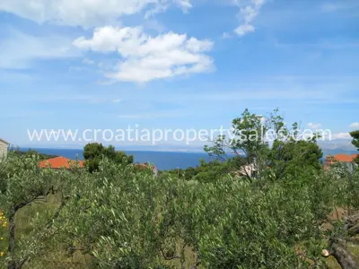 Baugrundstück, Otok Brač - Meerblick und Olivenbäume - 9