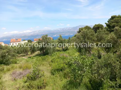 Baugrundstück, Otok Brač - Meerblick und Olivenbäume - 4