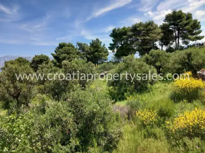 Baugrundstück, Otok Brač - Meerblick und Olivenbäume - 6