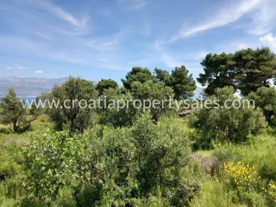Baugrundstück, Otok Brač - Meerblick und Olivenbäume - 2