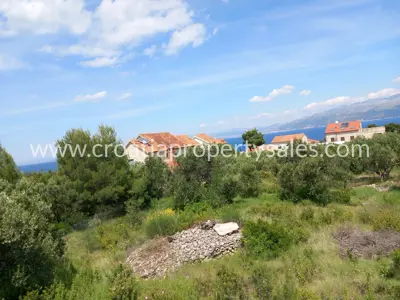 Baugrundstück, Otok Brač - Meerblick und Olivenbäume - 5