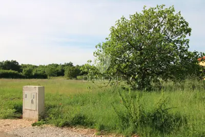 Building plot 1,077 m², Barban - project and permit - 4