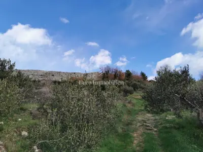 Podstrana kraj Splita, poljoprivredno zemljište s građevinskom dozvolo - 9