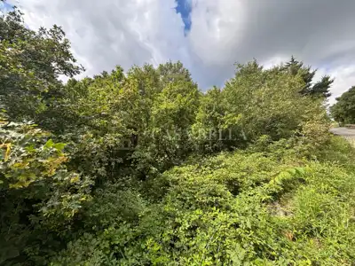 Baugrundstück 302 m², Tribalj - ebene Parzelle an Asphaltstraße - 5