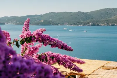 Stone house on Pelješac, sea and Korčula views - 19