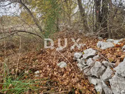 Land 18,323 m², Barban - quiet settlement and electricity nearby - 3