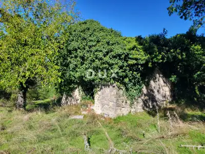 Lupoglav, Boljunsko Polje, Steinhäuser, 166 m² - 9