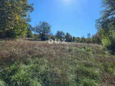 Lupoglav, Boljunsko Polje, Steinhäuser, 166 m² - 16