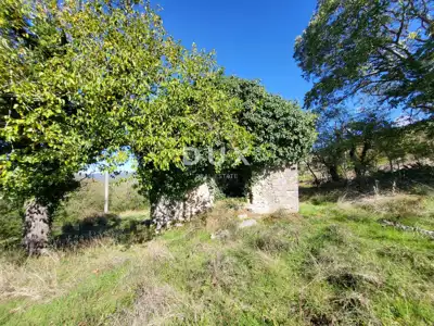 Lupoglav, Boljunsko Polje, Steinhäuser, 166 m²