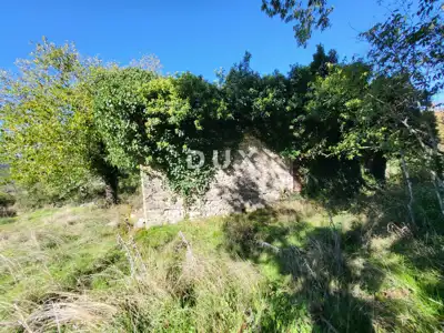 Lupoglav, Boljunsko Polje, Steinhäuser, 166 m² - 8