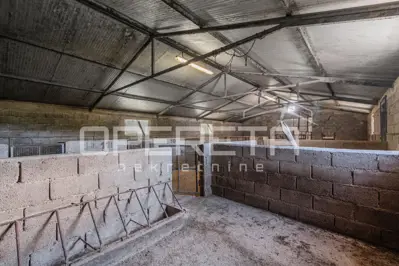 Seosko imanje 13.122 m², Zatka Čepić - pogled na Učku - 14