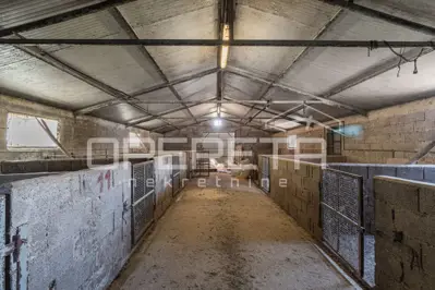 Seosko imanje 13.122 m², Zatka Čepić - pogled na Učku - 11