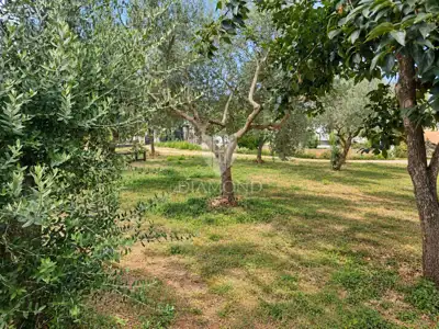 Građevinsko zemljište 546 m², Umag okolica - mirna lokacija - 3
