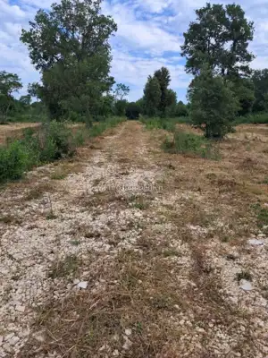 Agricultural land with water - Batvači - 2