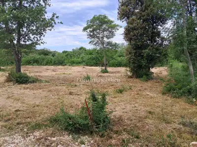 Agricultural land with water - Batvači
